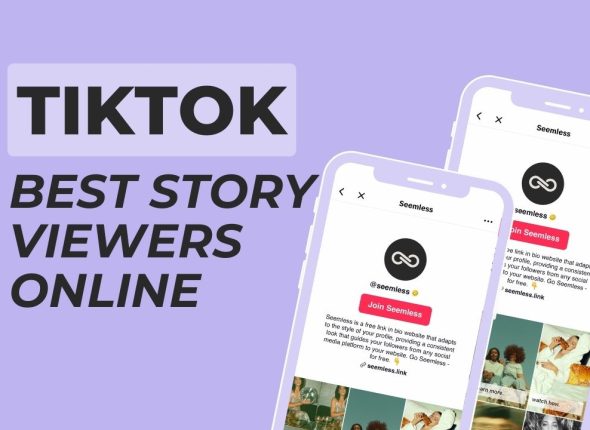 tiktok story viewer