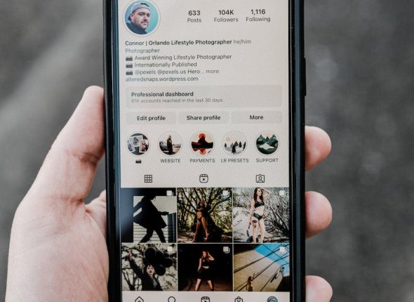 add linktree to instagram