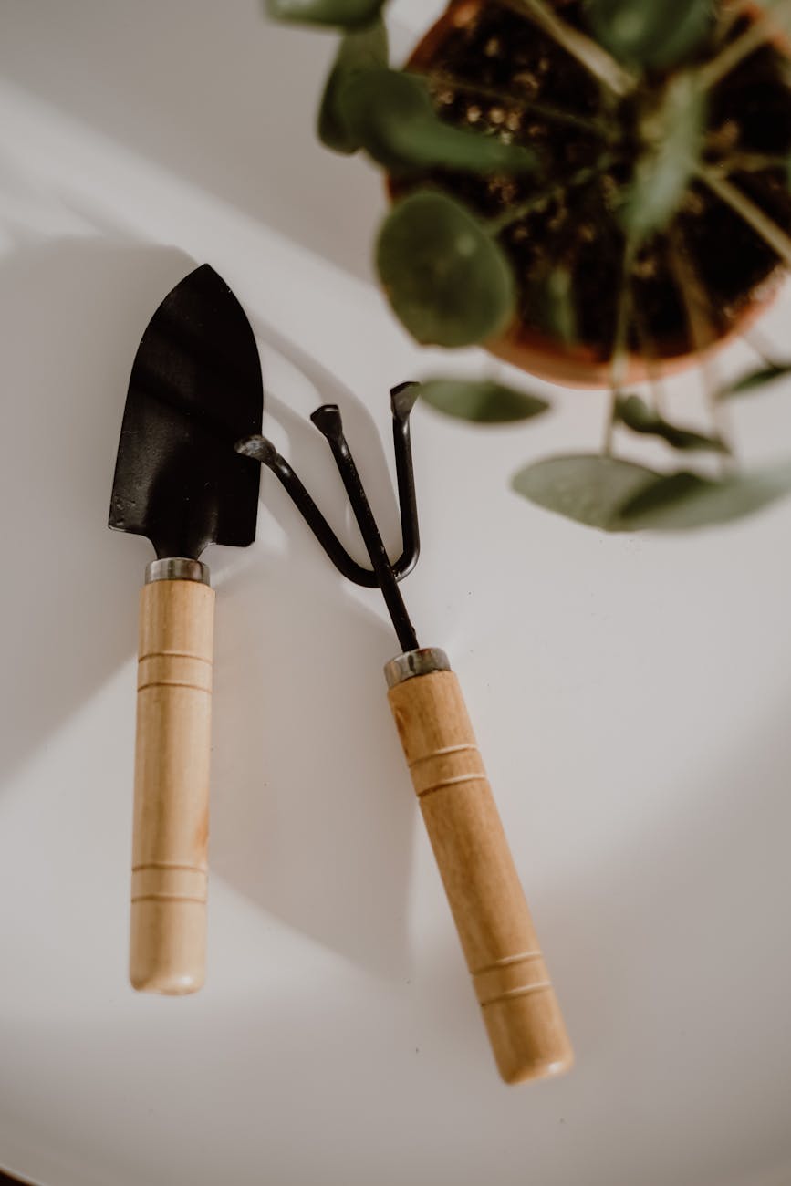 instagram growth tools