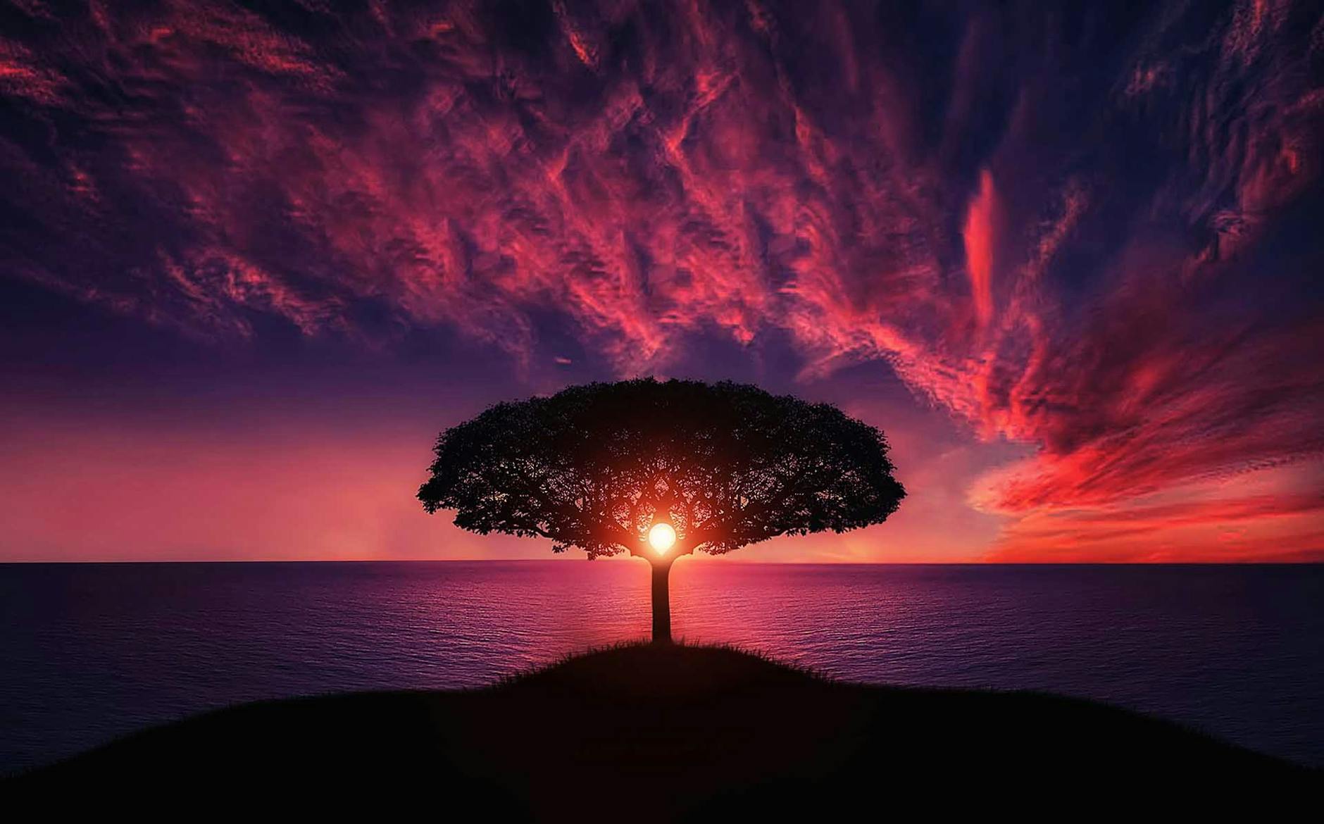 linktree like websites