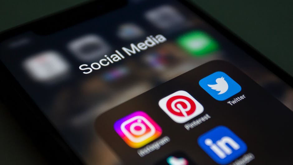 what is instagram bio link