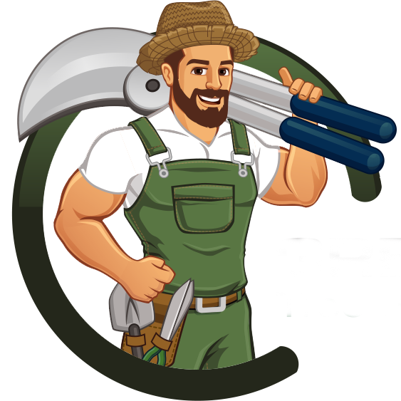 Link
