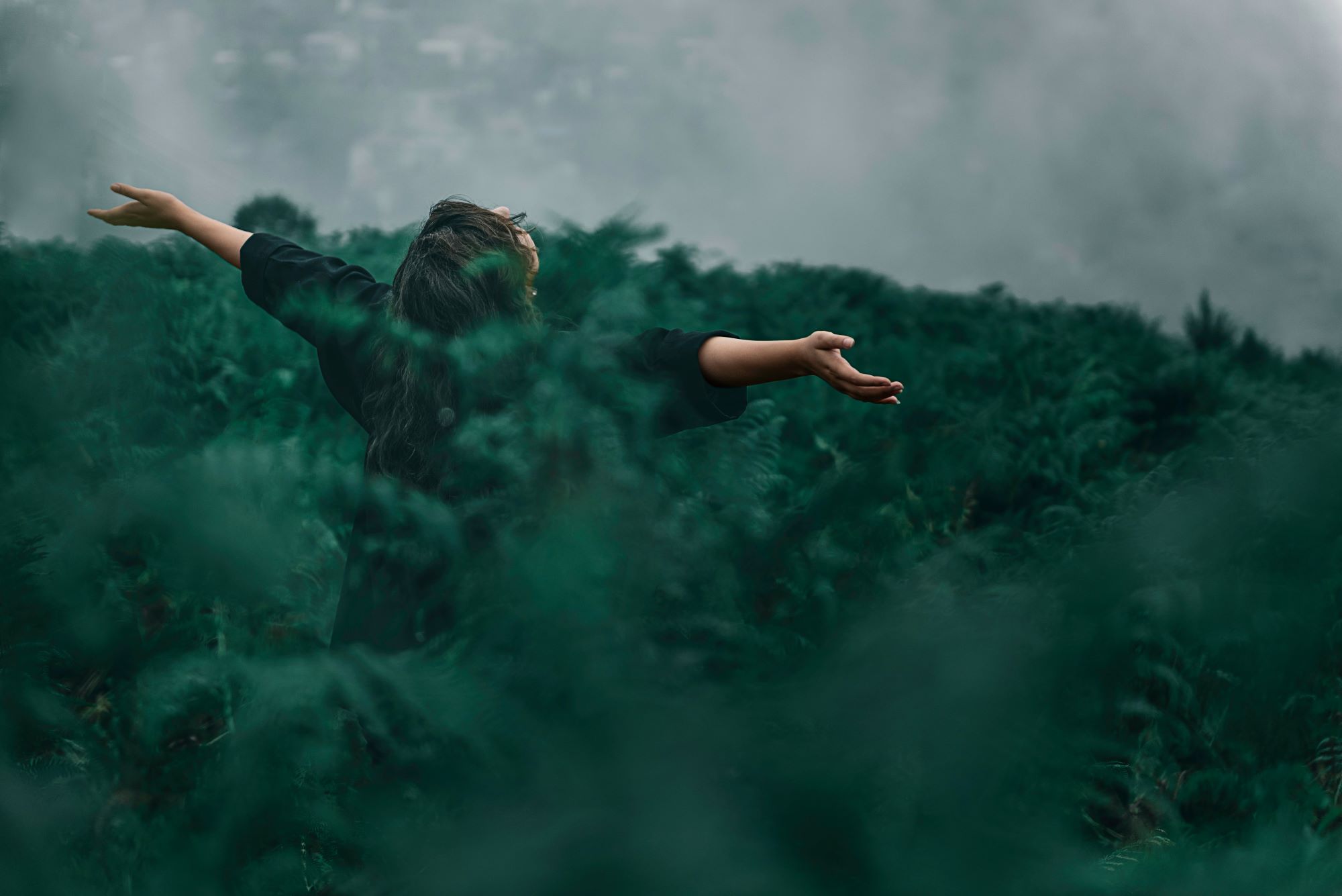 Link