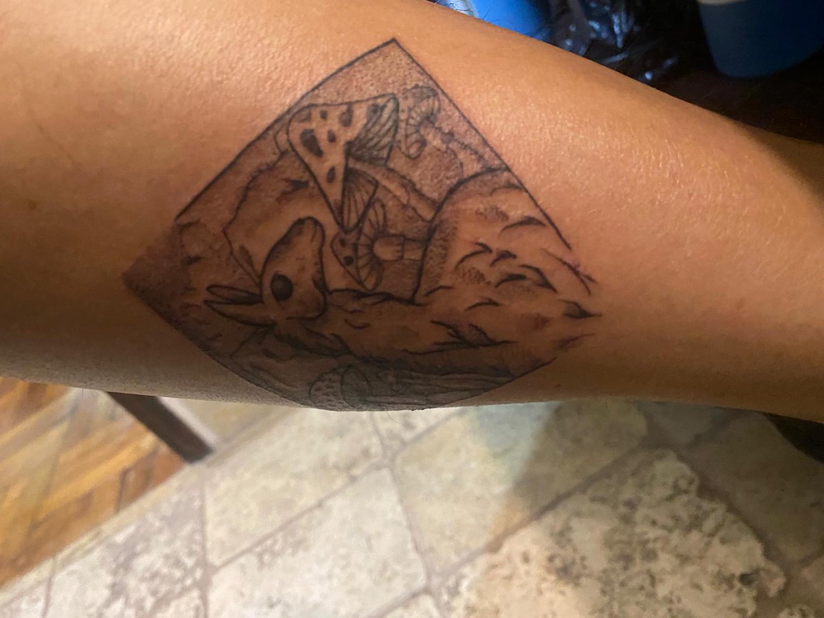 Link