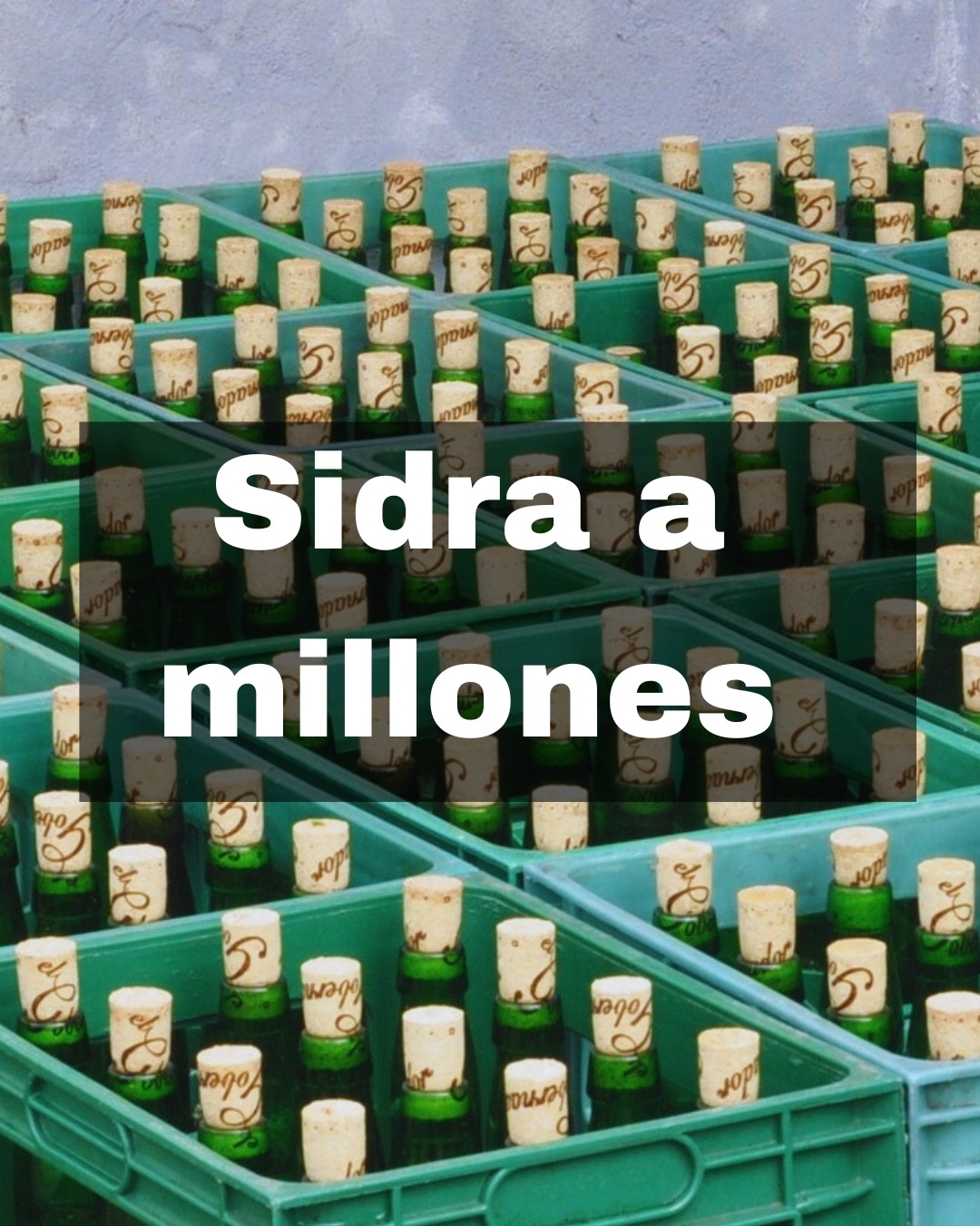 Link