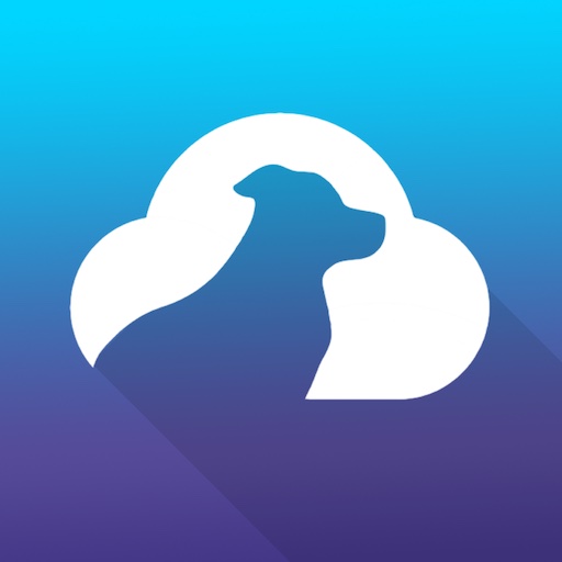 Link