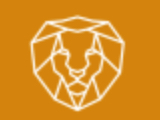 Lion Tech Services 