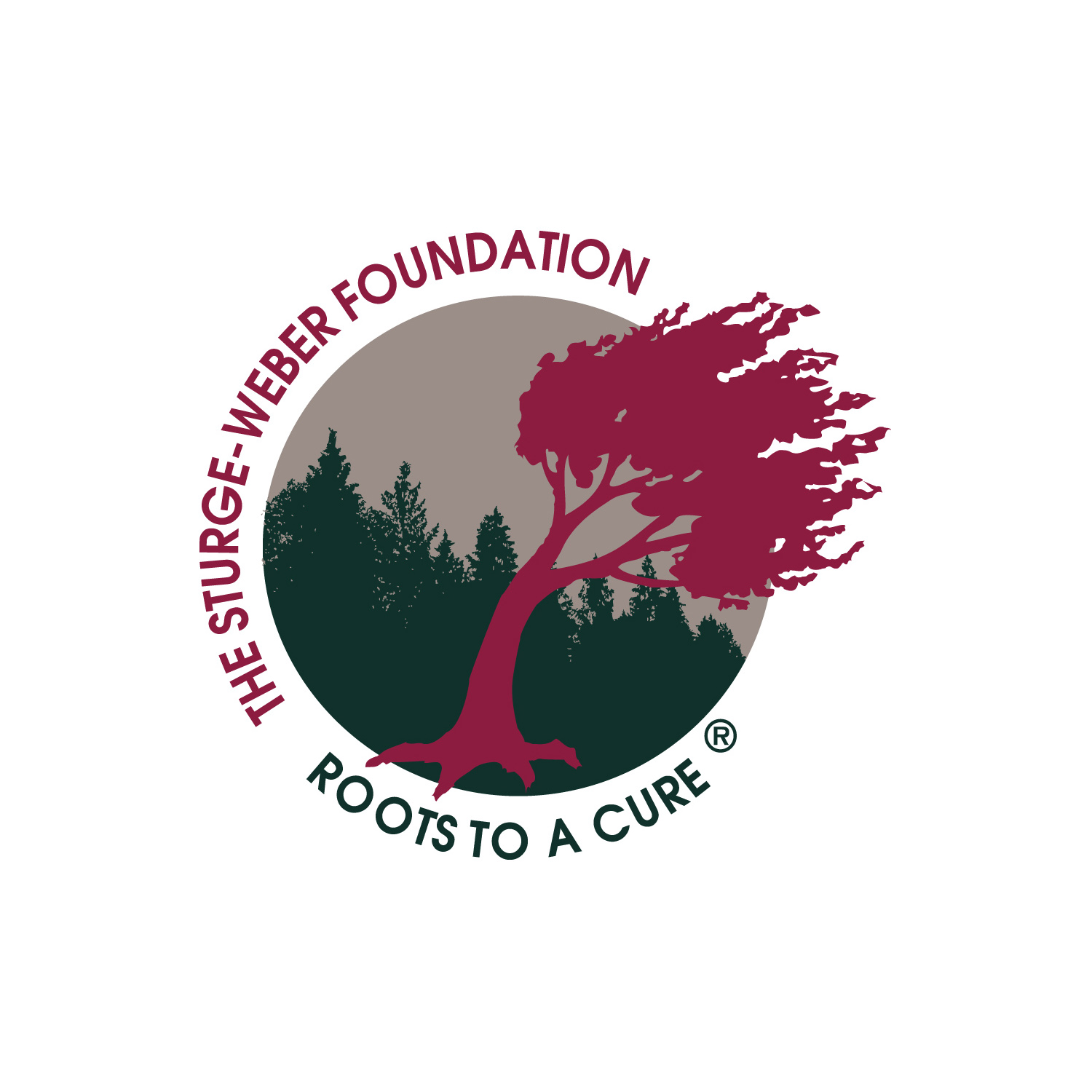 The Sturge-Weber Foundation