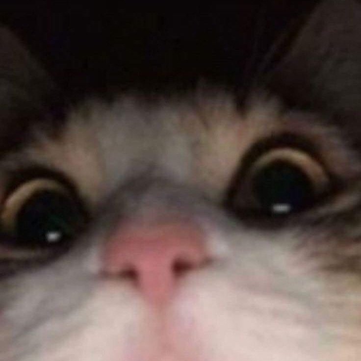 HELLO WORLD