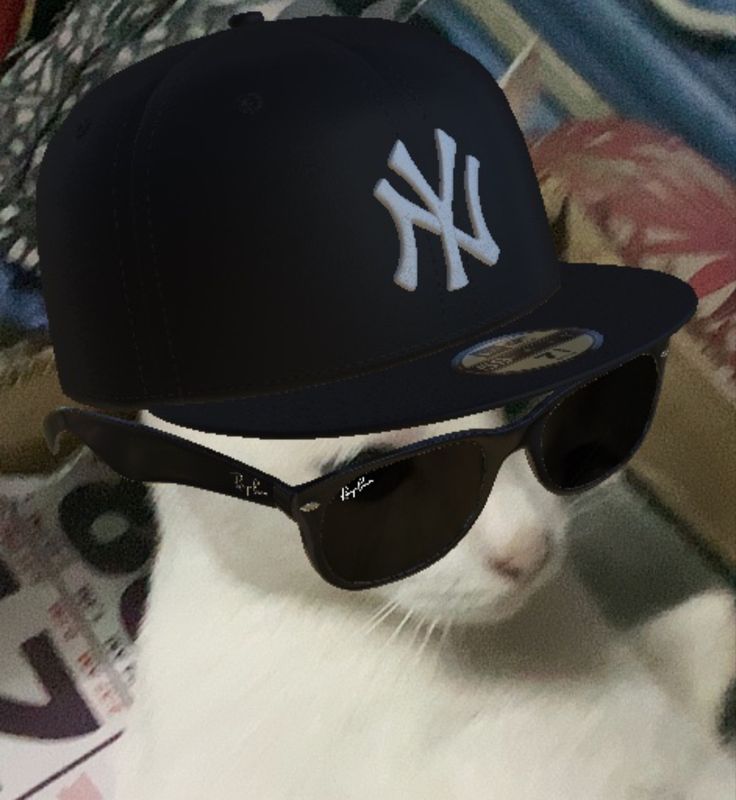 Lance Buado