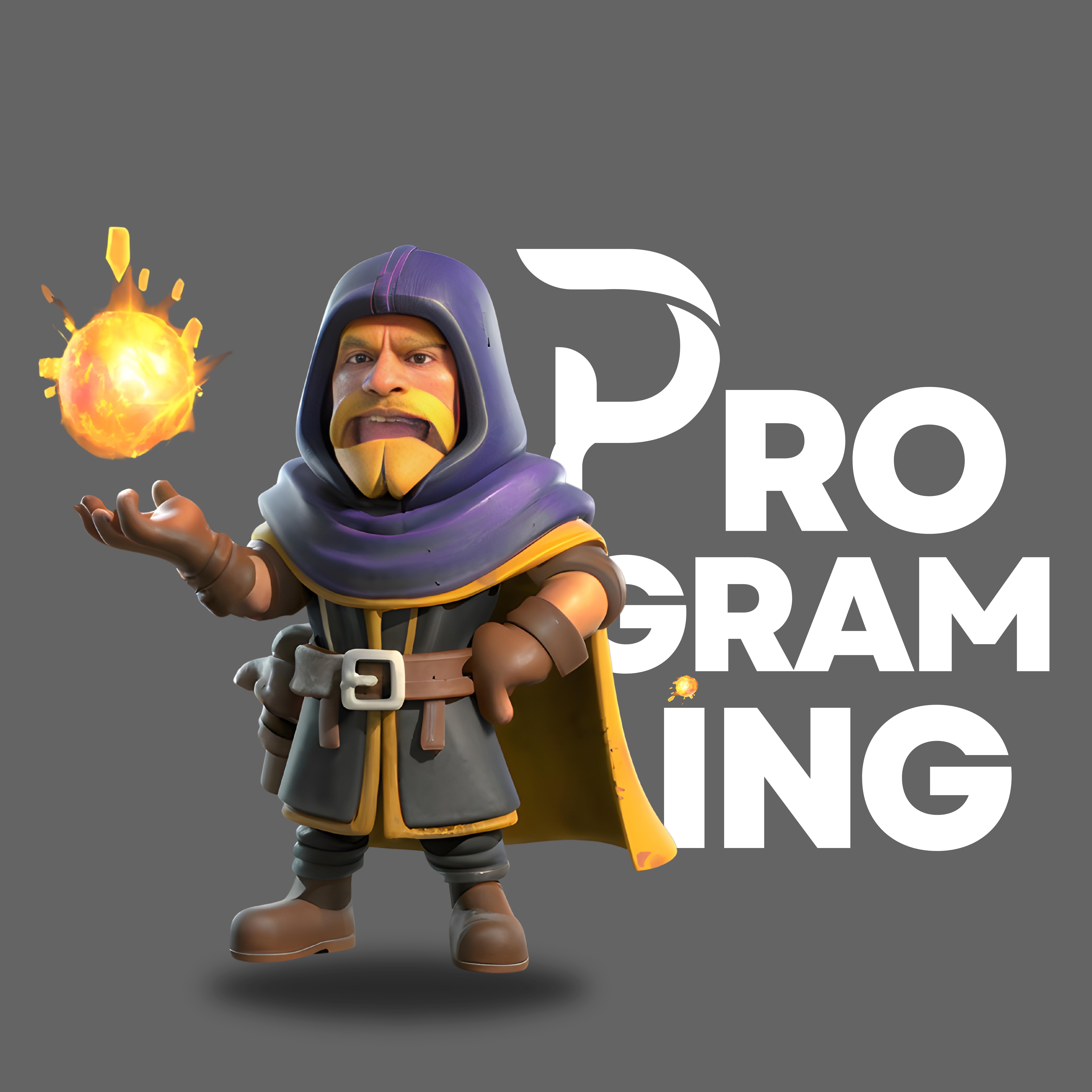 PROGRAMING WIZARDS