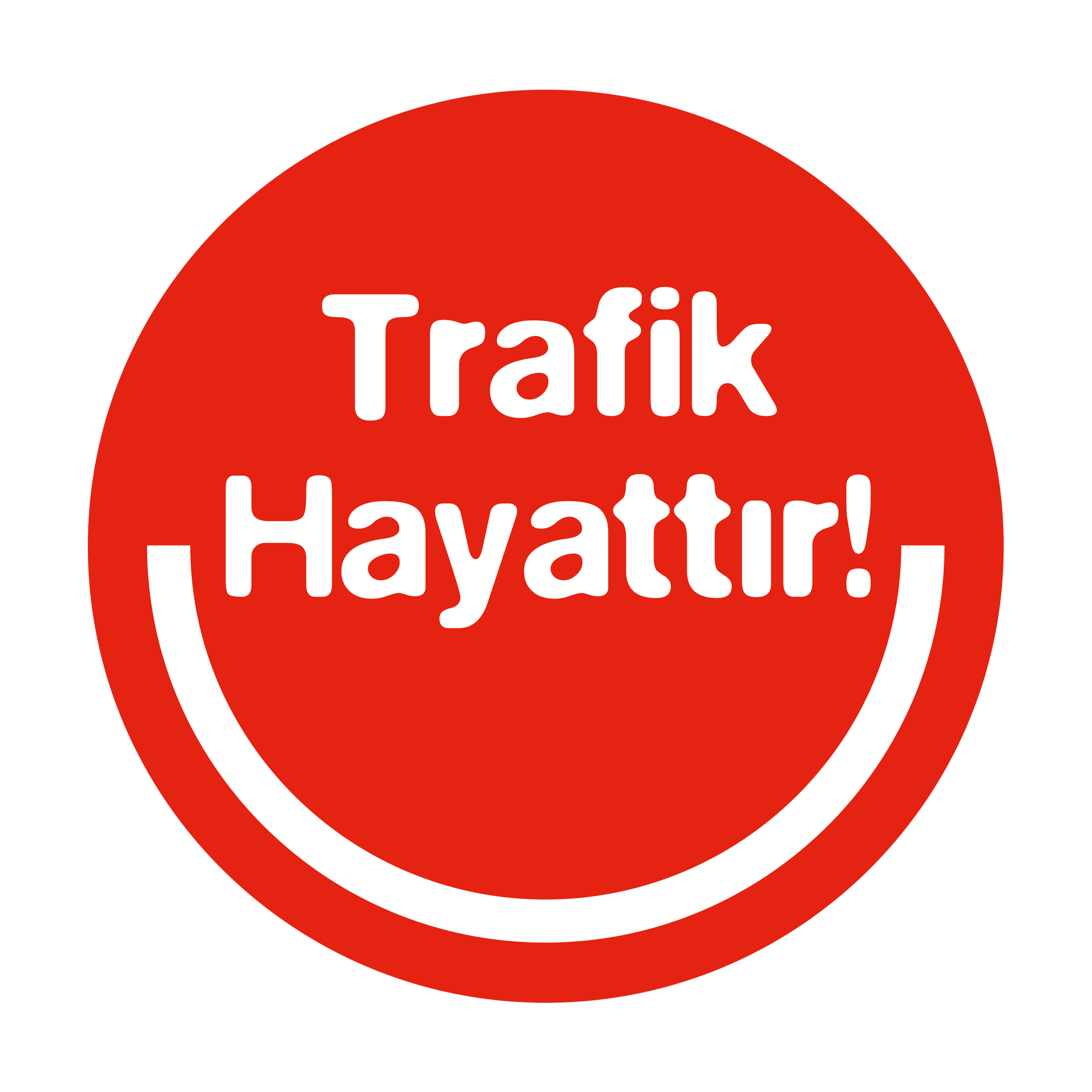 TRAFİK TRAFİKLERİ