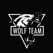 Wolfteam Cold Hack Hile Satın Al