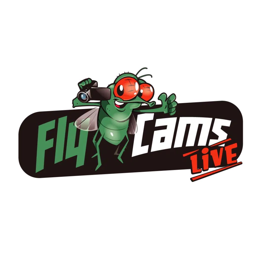 FlyCams Live