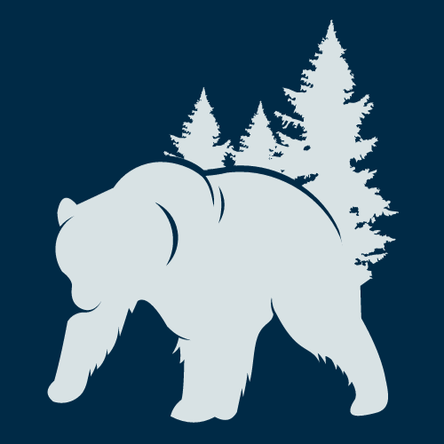 Bayberry Bear
