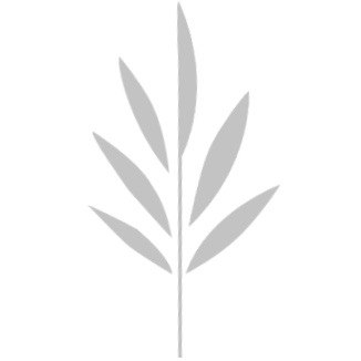 https://www.adhs-beratung.online