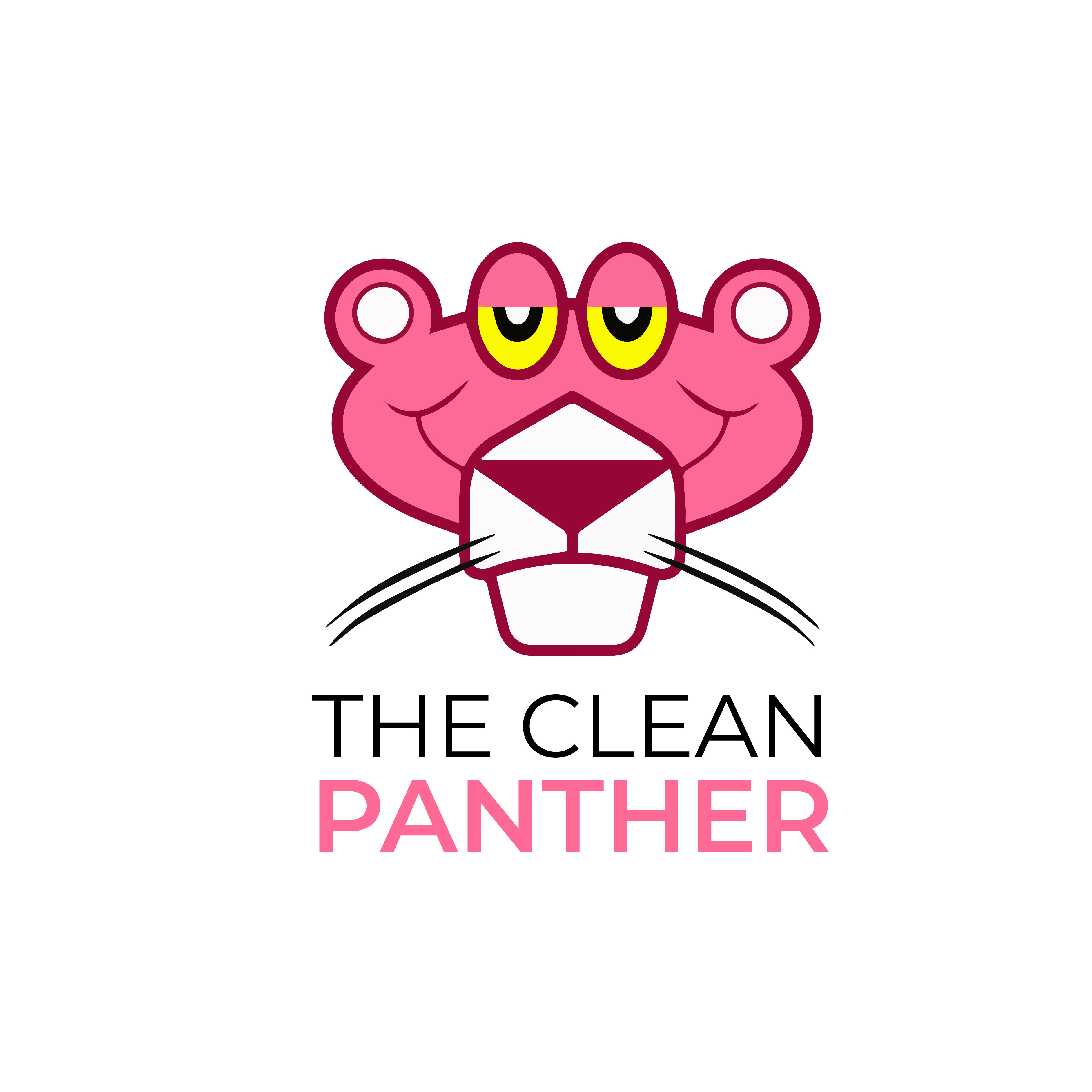 The Clean Panther Nettoyages