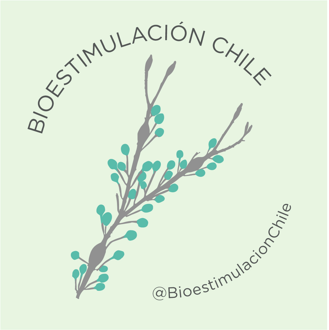 Bioestimulación Chile by Acadian Plant Health
