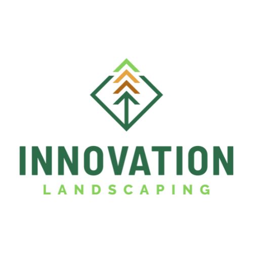 Innovation Landscaping